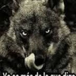 Meet your Posher, Ramiro